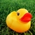 :iconlolinka16: