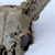lolipericardium :iconlolipericardium: