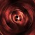 :iconlolital0st: