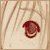 :iconlolitamew: