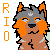 :iconlolitsapandabear: