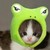 :iconlolki012: