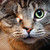 :iconlollage123: