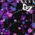 :iconlollibear: