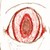 :iconlollipopbrowser: