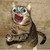 :iconlollosaurus: