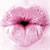 :iconlollypop300:
