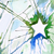 :iconlollysnakebites: