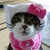 :iconlolo93370: