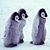 :iconlolor15: