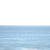:iconlolorbeer: