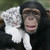 :iconlolpeople1325: