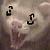 :iconlolrskatez: