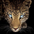 :iconlomelinde-bird:
