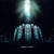 :iconlomier: