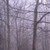 :iconlon-dubh: