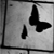 :iconlone-dark-butterfly: