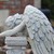 :iconlone-wings: