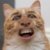 :iconlonebassman:
