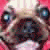 Lonecow :iconlonecow: