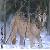 :iconlonefulwolf: