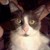 :iconlonely-dragongirl: