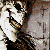 :iconlonelyalakast: