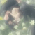 :iconlonelyangel: