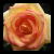 LonelyBandit :iconlonelybandit:
