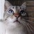:iconlonelyblackdoll: