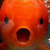 :iconlonelycreeper: