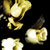 :iconlonelydreamlover: