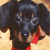 :iconlonelygirl818: