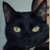 :iconlonelyinside:
