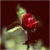 lonelyrose190 :iconlonelyrose190: