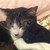 :iconlonelysoul-chocolate: