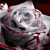 :iconlonesomedevil666: