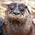 LoneWanderer89 :iconlonewanderer89: