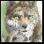 :iconlonewolf-achaea: