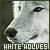 :iconlonewolf199152: