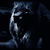 :iconlonewolf199152: