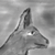 :iconLoneWolfJ: