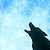:iconlonewolfofthesnow3xd: