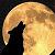 LoneWolfSong :iconlonewolfsong: