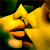 :iconlonghairedlv:
