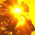:iconlongllasting: