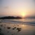 longsummernights :iconlongsummernights: