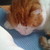 :iconlongtail91: