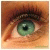:iconlookinforme: