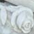 :iconlookslikeliv: